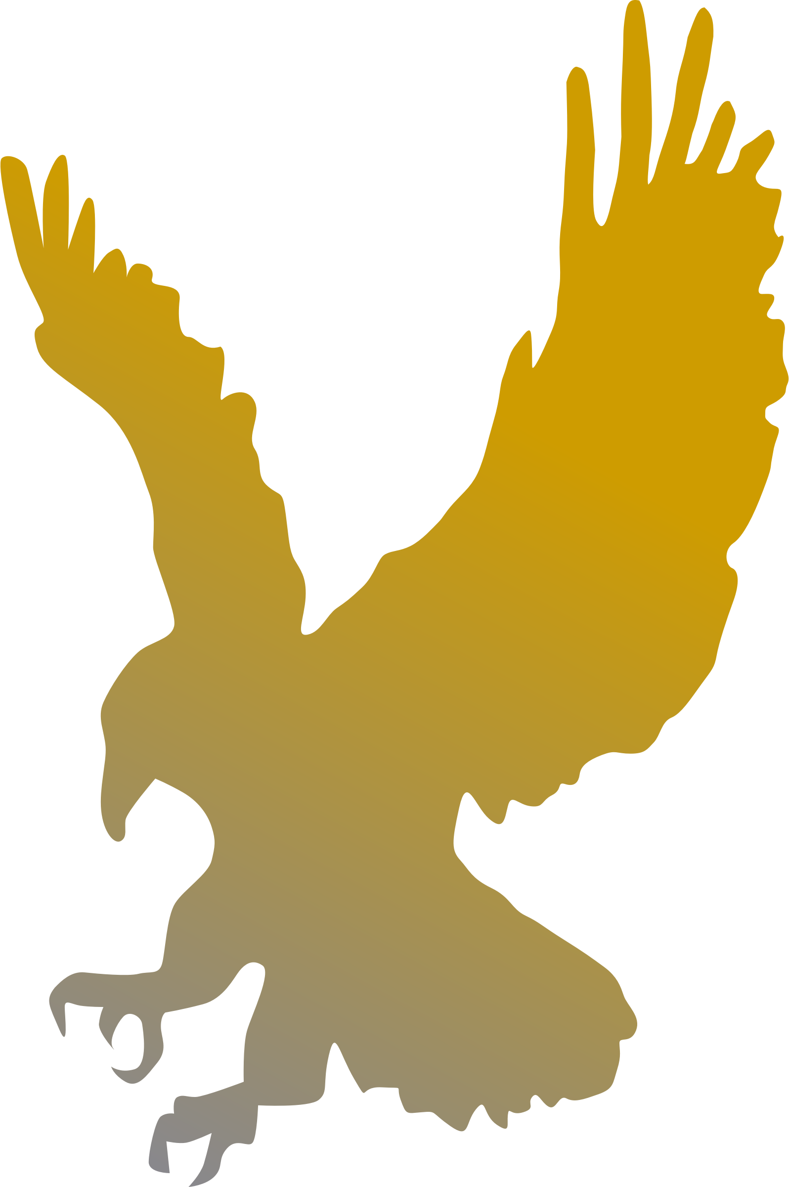 Golden Eagle Vector Clipart - Free Public Domain Stock Photo