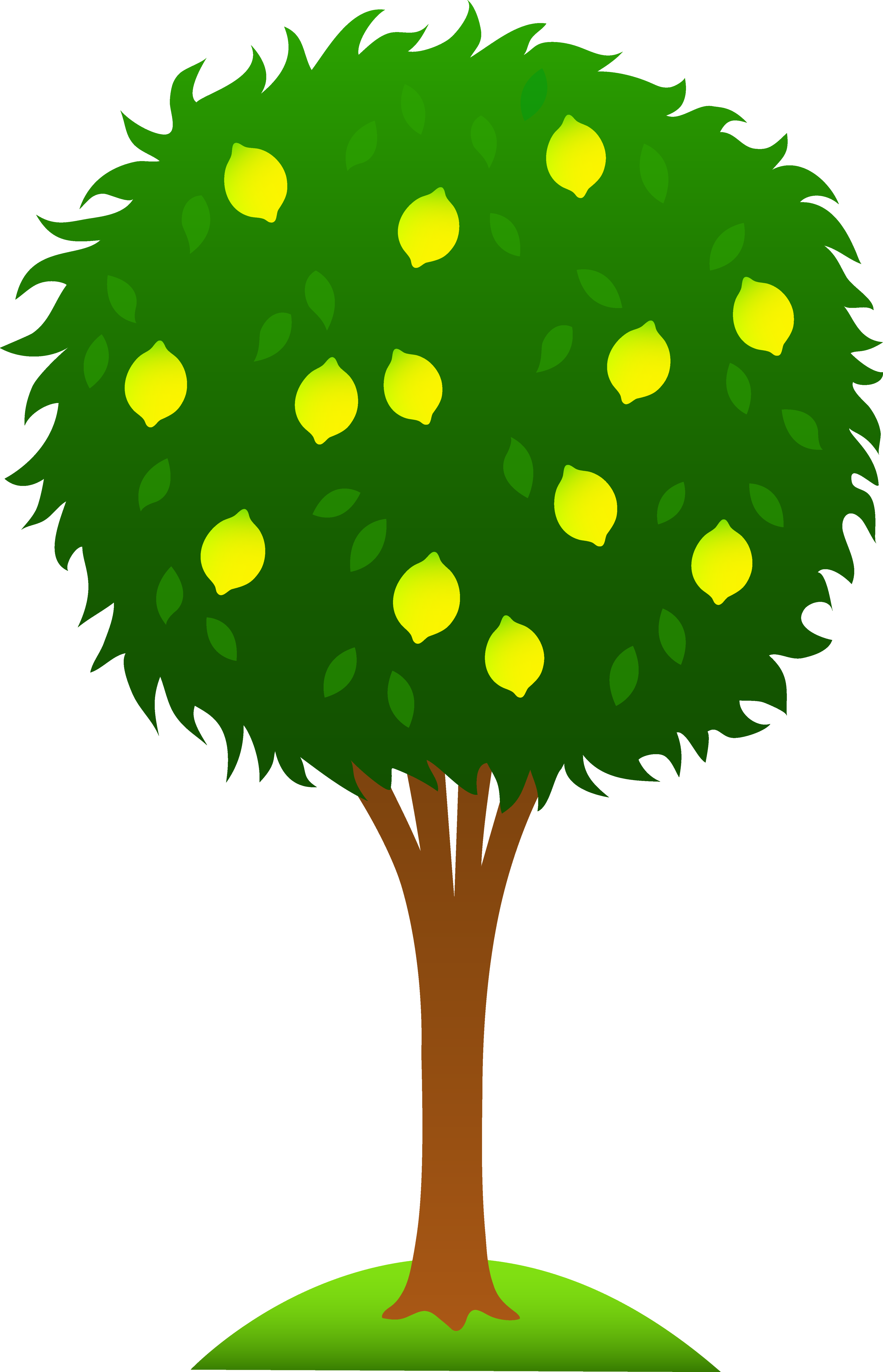 Fruit Tree Clip Art Clipart - Free to use Clip Art Resource