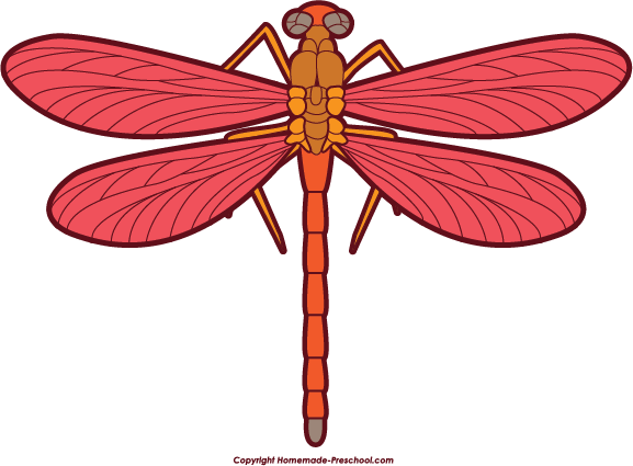 Images Of A Dragonfly | Free Download Clip Art | Free Clip Art ...