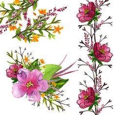 Clip art, Hand painted and Peony flower
