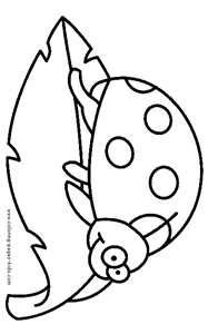 Bug Template Printable - ClipArt Best