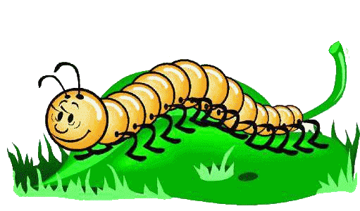 The Centipede and God | Osho News