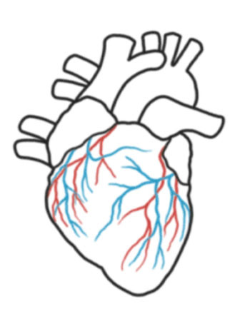 Real Heart Drawing | Free Download Clip Art | Free Clip Art | on ...