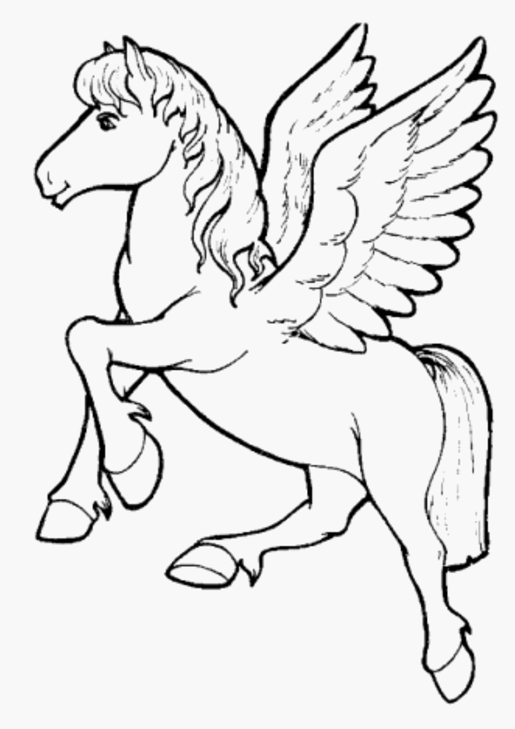 Unicorn Baby Winged Unicorn Coloring Pages - Color by number printable