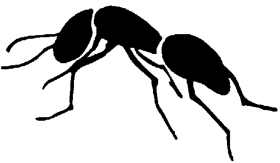 Ant Clip Art