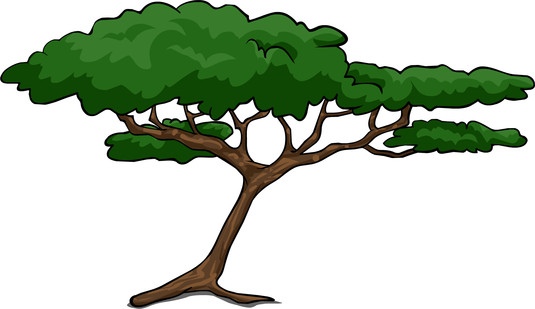 Acacia Tree Clipart