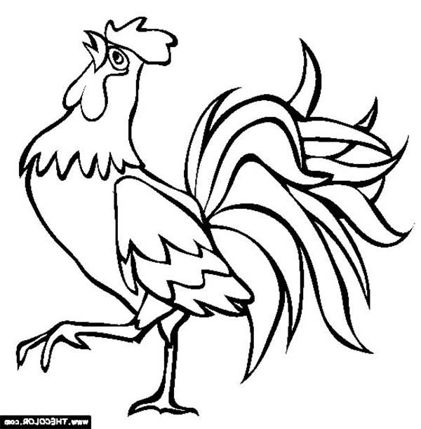 rooster-coloring-pages-page-image-clipart-images-grig3-p-ginas