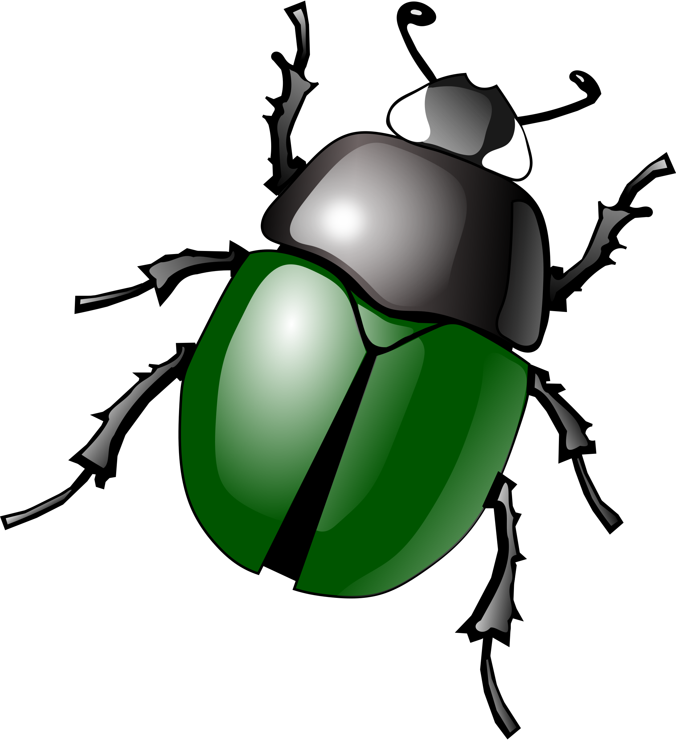 Clipart Bugs - Tumundografico