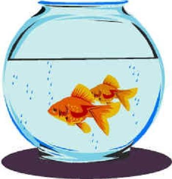 Fishbowl Clipart | Free Download Clip Art | Free Clip Art | on ...