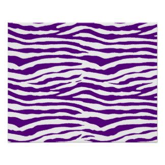 Zebra Stripes Posters | Zazzle