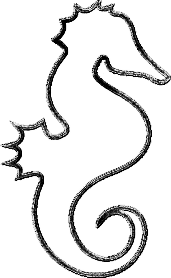 Seahorse Outline Clipart