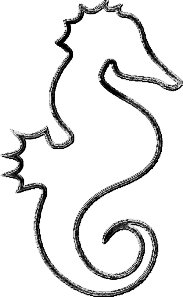 Seahorse Outline Printable