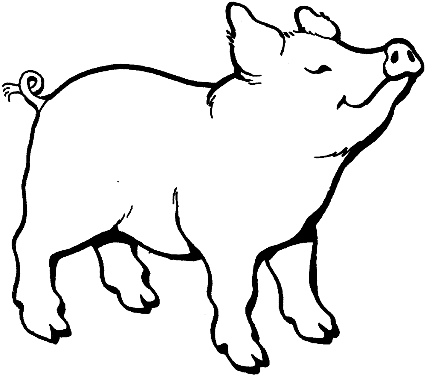 Black and white pig clipart