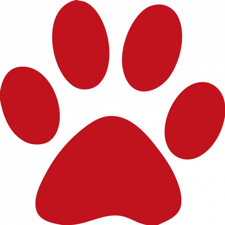 clipart cat paw - photo #49