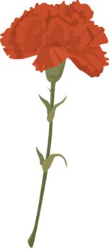 Flower Carnation Clip Art, Vector Flower Carnation - 1000 Graphics ...