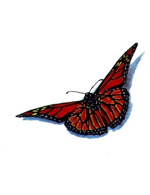 A Red Butterfly Tattoo | Fresh 2017 Tattoos Ideas
