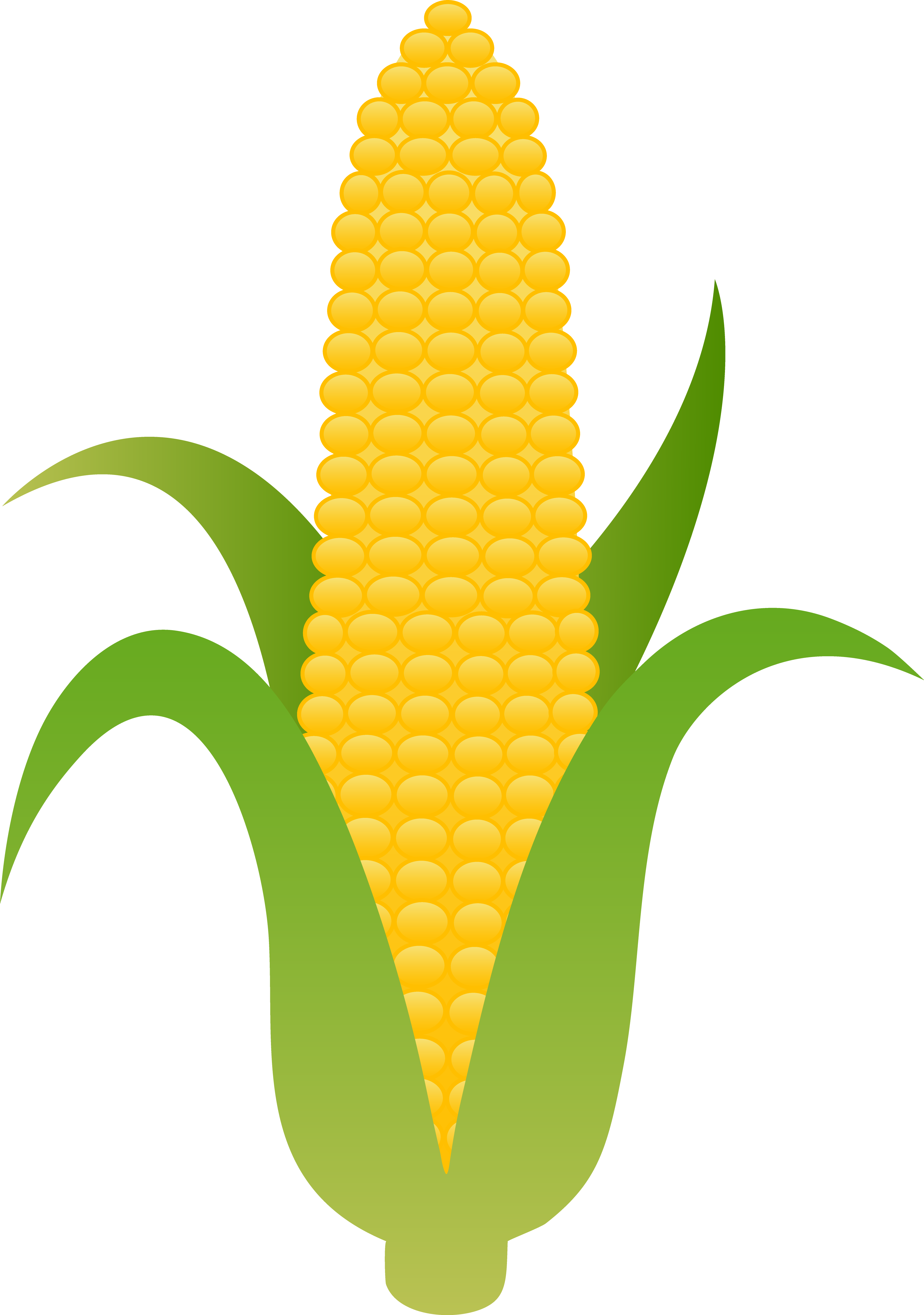 Corn clipart