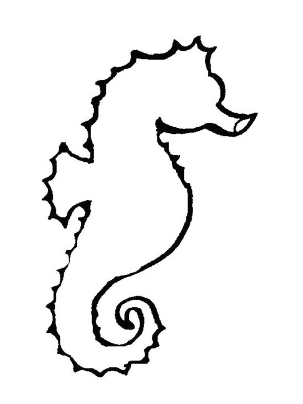Drawing A Seahorse - ClipArt Best