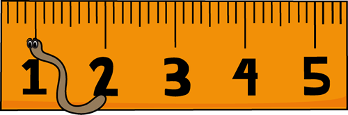 Inch ruler clipart
