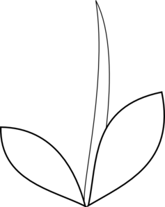 1,133 views stem-leaves-md.png