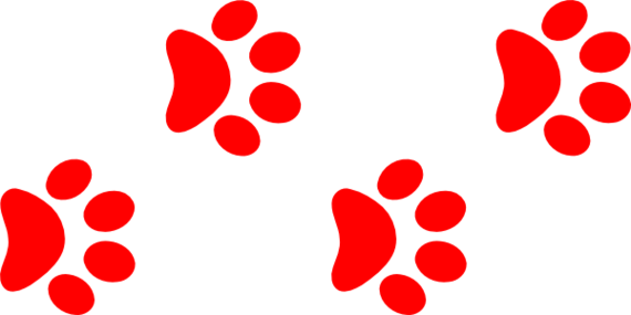 Paw Print Clip Art Border Clipart - Free to use Clip Art Resource