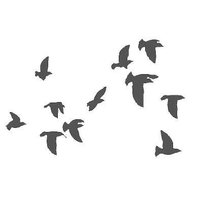 Flock of birds clipart free