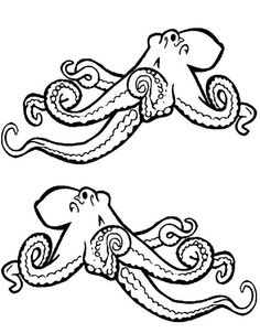 Colors, Octopus drawing and Drawings