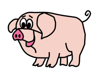 Picture Of A Pig Face