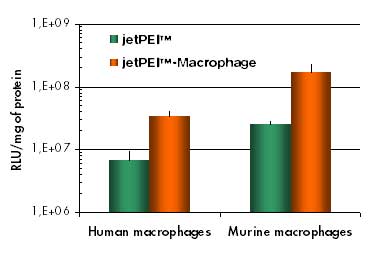 jetPEI®-Macrophage « Polyplus Transfection