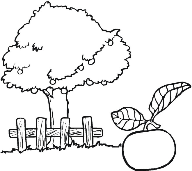 Tree Colouring - ClipArt Best