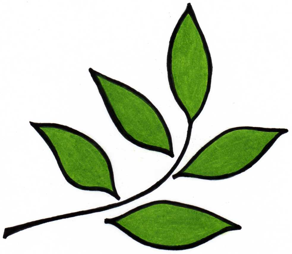 clip art weed leaf - photo #20