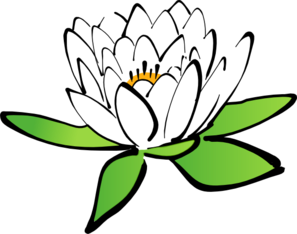 lotus-flower-md.png
