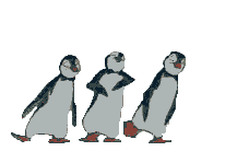 Fat Penguin