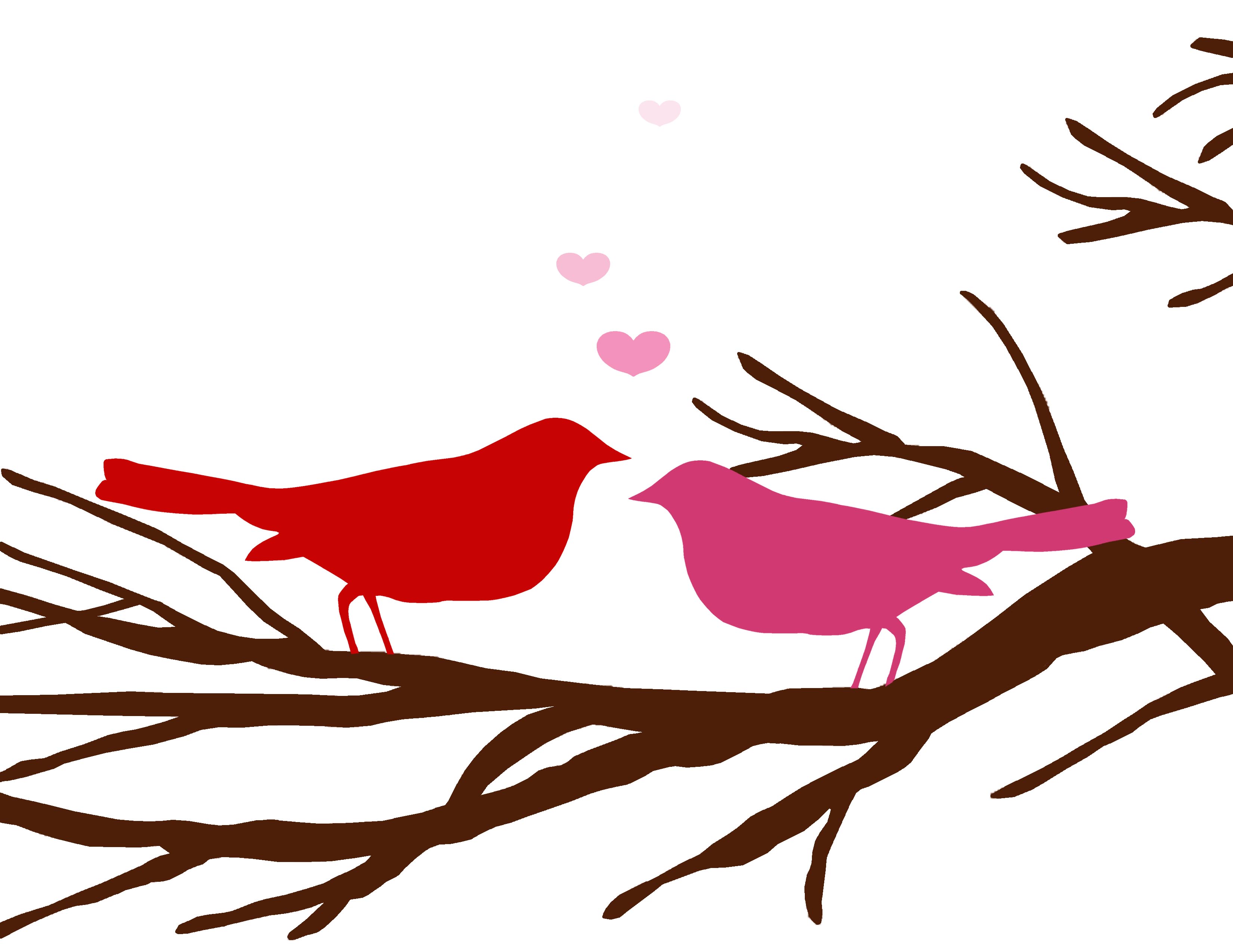 Love Bird Graphic