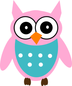 pink-owl-md.png