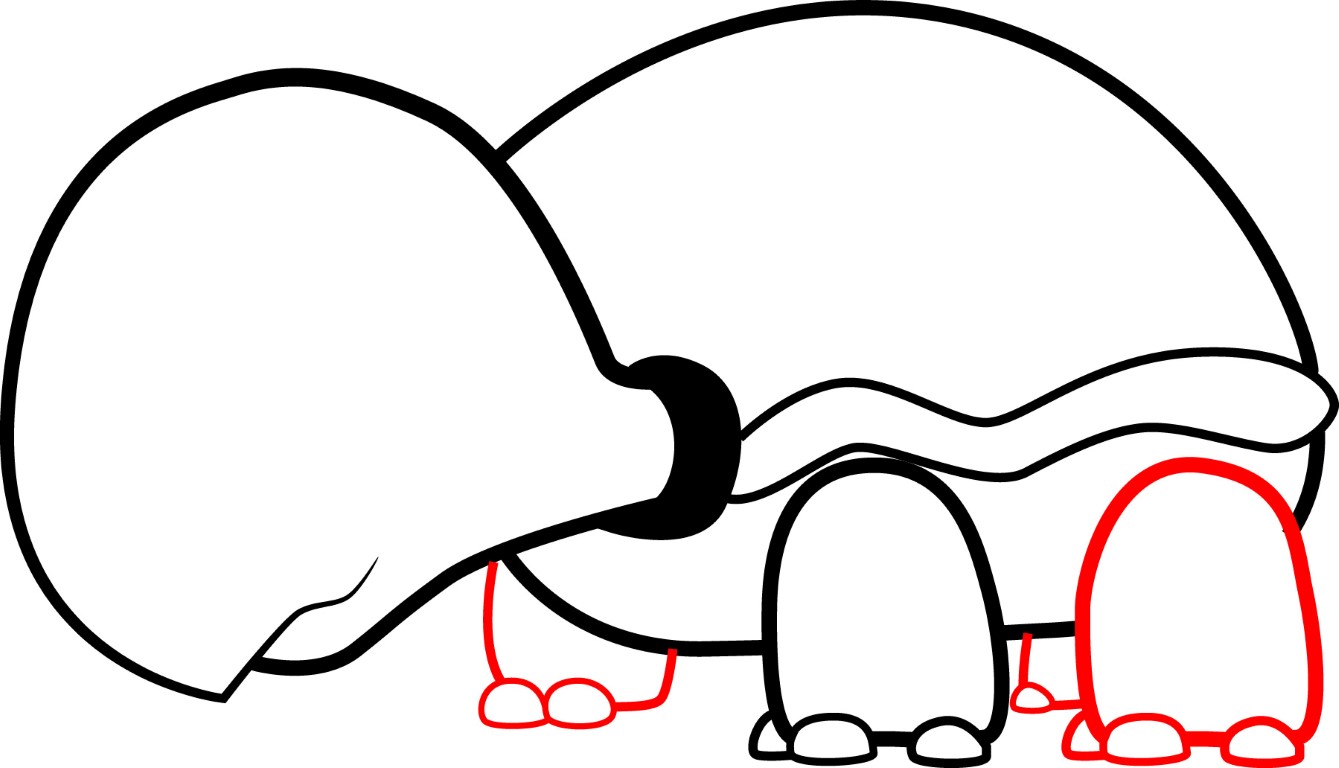 How To Draw A Cartoon Turtle Step 4 - ClipArt Best - ClipArt Best