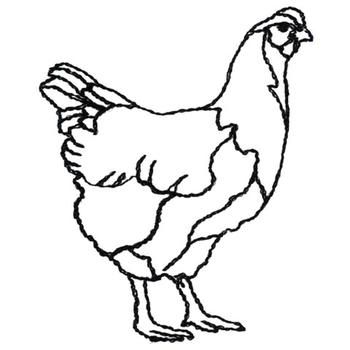 OUTLINE PICTURE OF HEN - ClipArt Best
