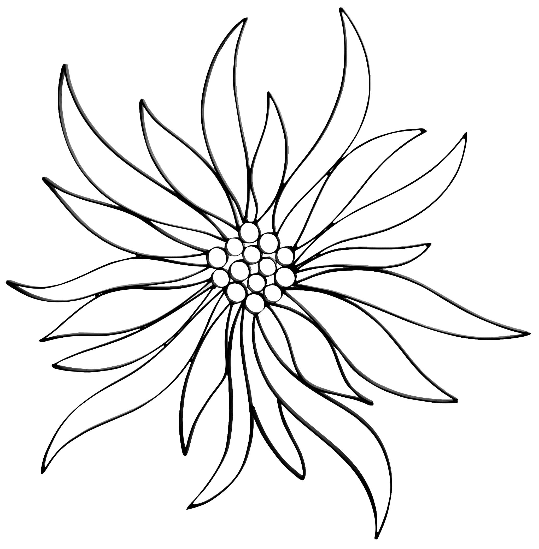 Line Art Sunflower : Line drawing sunflower imgkid the image kid