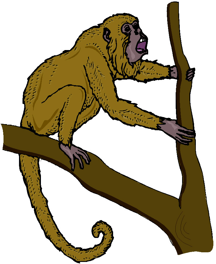 Clip Art - Clip art monkeys 089104