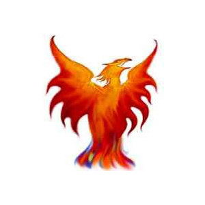 Phoenix Bird Clip Art - Free "Phoenix Bird Clipart" - Polyvore