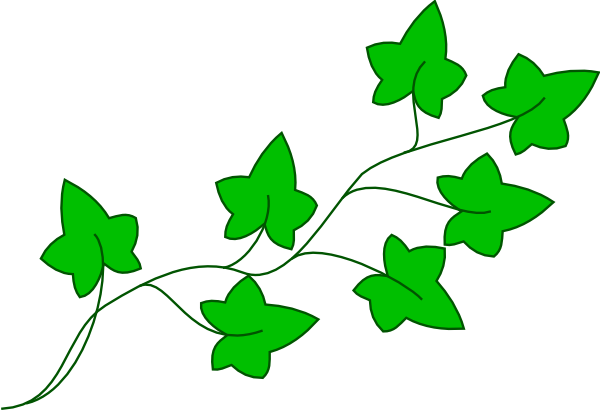 Ivy Leaf Clip Art