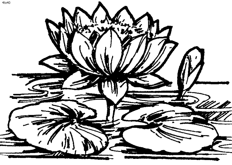 Lotus Clip Art Coloring Page | Coloring Pages | Pinterest