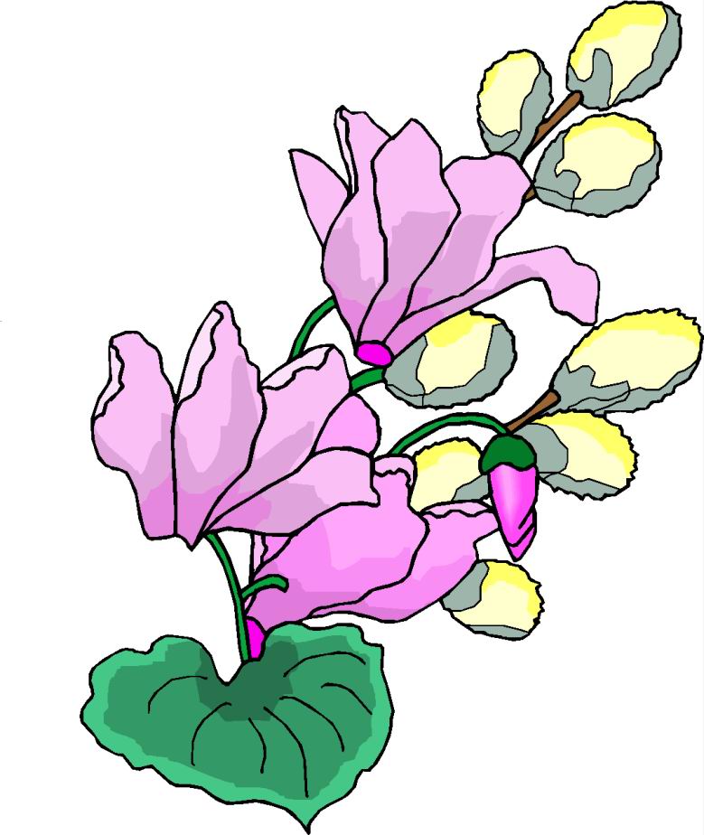 Clip Art Flowers 558351jpg