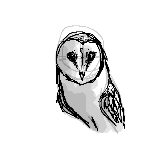 clipart barn owl - photo #25