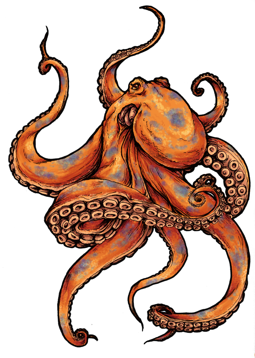 Octopus Tattoo by Rakka-chan