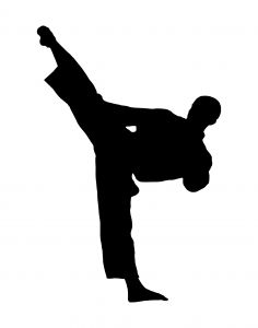 Karate Silhouette - ClipArt Best