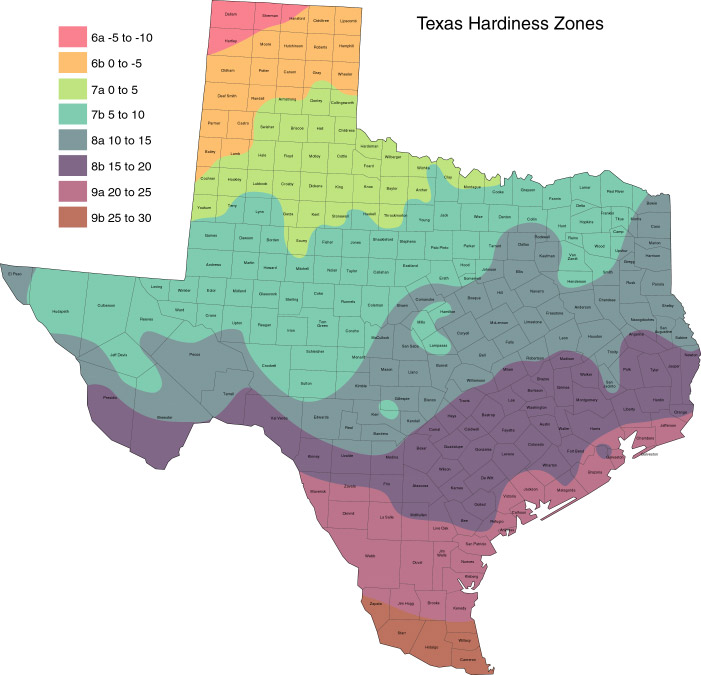 Plant Hardiness Zones Texas Clipart Best