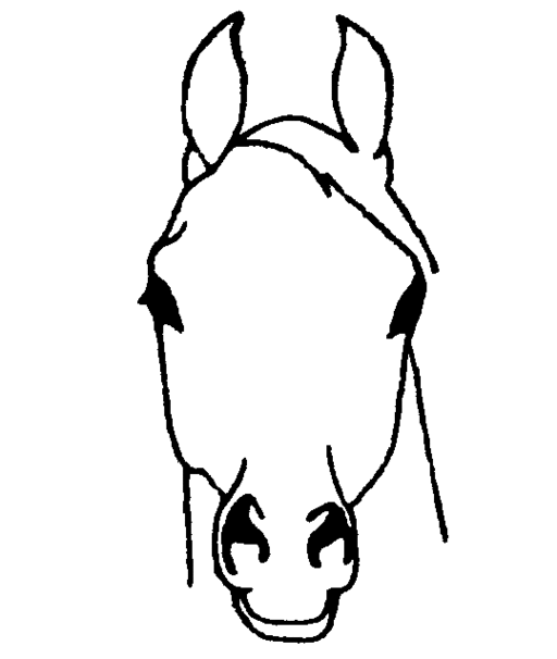 Clipart of a horse head