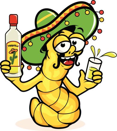 1000+ images about Cinco De Mayo | May quotes ...