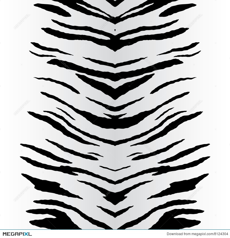 Zebra Stripes Vector Illustration 8124304 - Megapixl - ClipArt Best - ClipArt Best